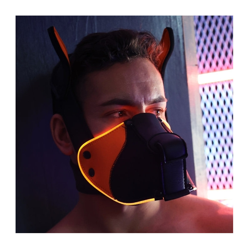 Breedwell Masque Poundtown Pup Breedwell Noir-Orange
